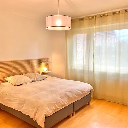 Appart 2Parkings, 2Min Petitevenise-Xmarche Colmar Exterior photo